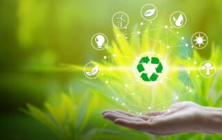 recilarea selectiva pentru hartie, plastic, fier si sticla